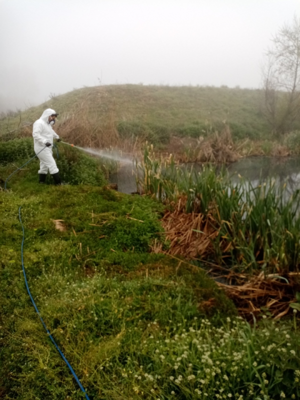 Συνέχιση του Έργου «Καταπολέμηση κουνουπιών στην Περιφέρεια Ανατολικής Μακεδονίας &amp; Θράκης» και στην Περιφερειακή Ενότητα Δράμας